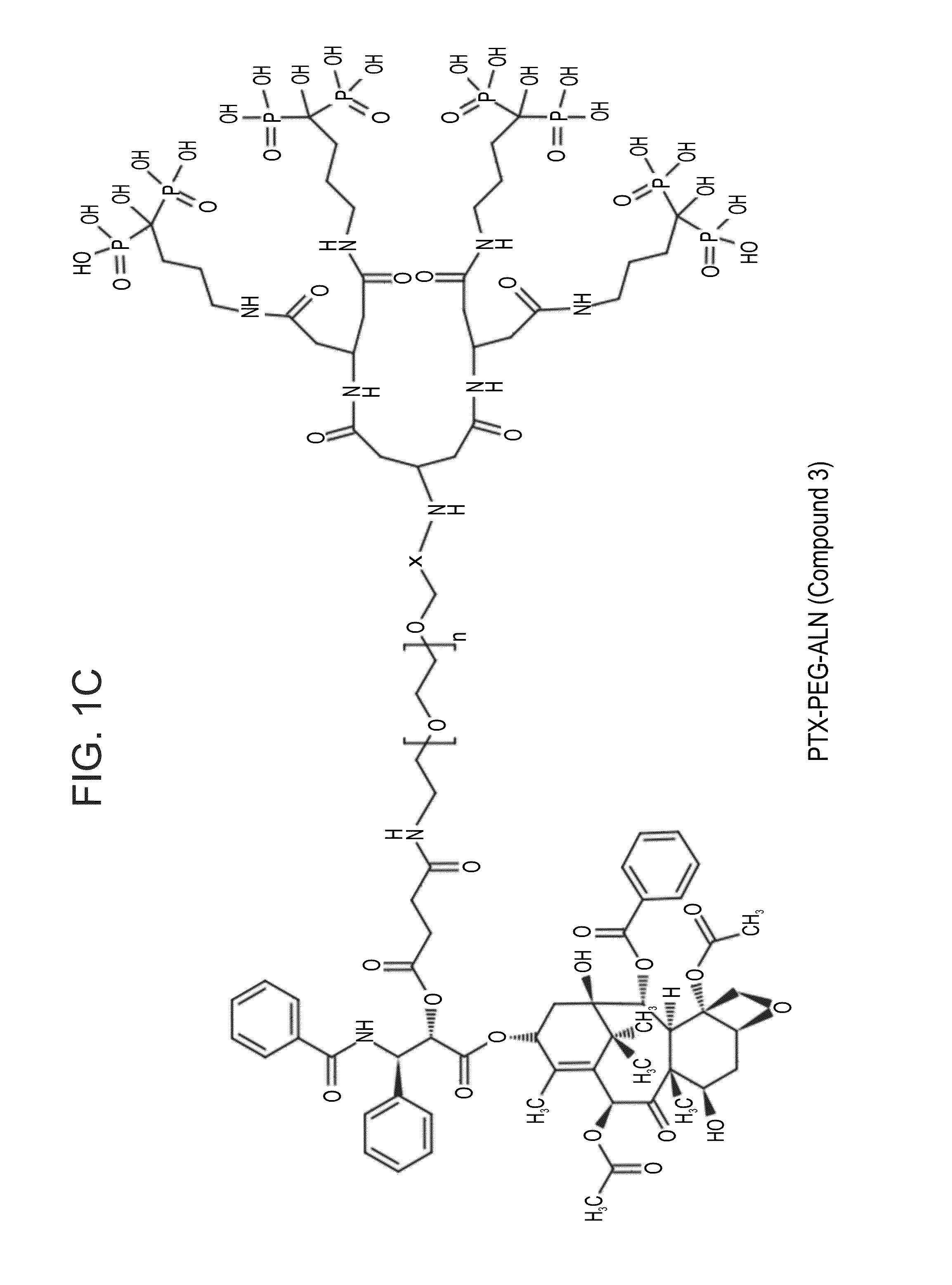 Targeted polymeric conjugates and uses thereof