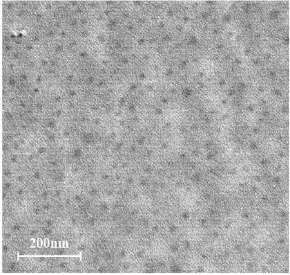 Tumor cell targeted nano gel and preparation method thereof as well as tumor cell targeted drug-loaded nano-particles