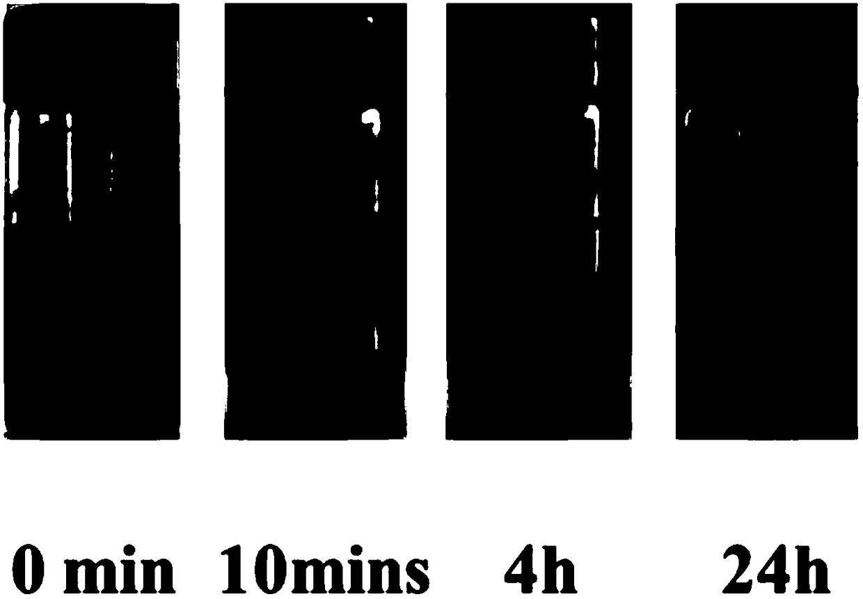 Plastic graphene oxide composites and electrodes and methods for their preparation