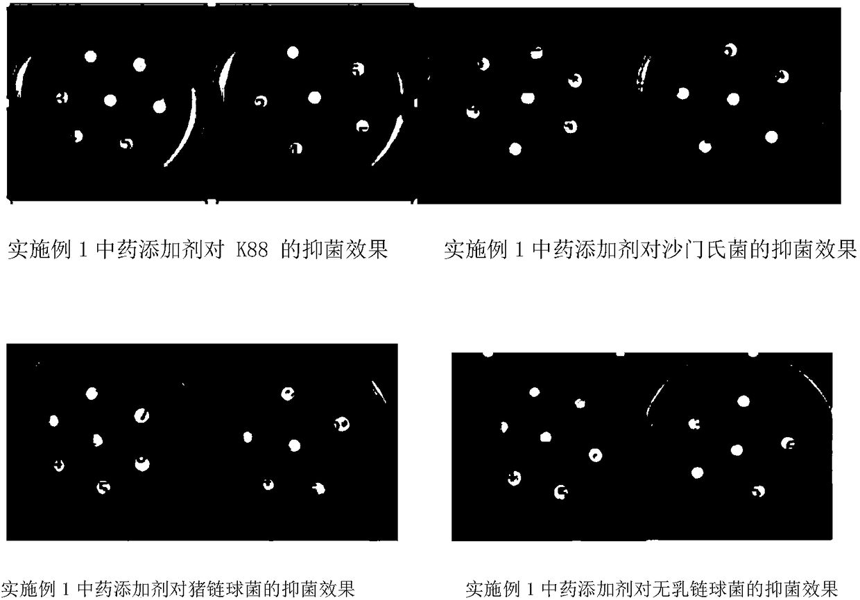 Feed additive capable of preventing and treating livestock and poultry diseases