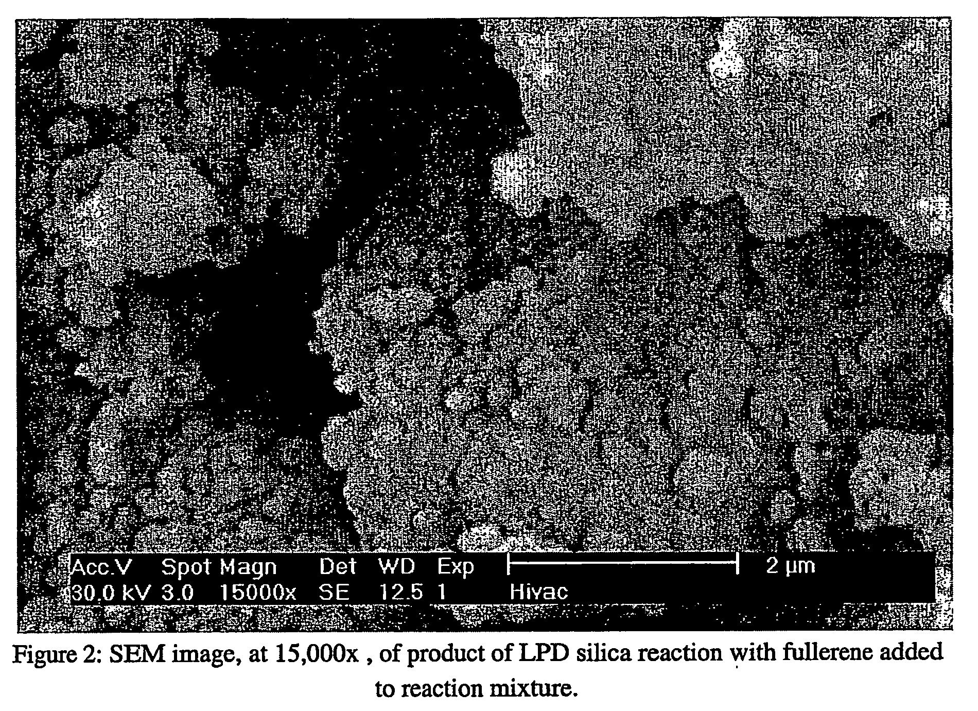 Coated fullerenes, composites and dielectrics made therefrom