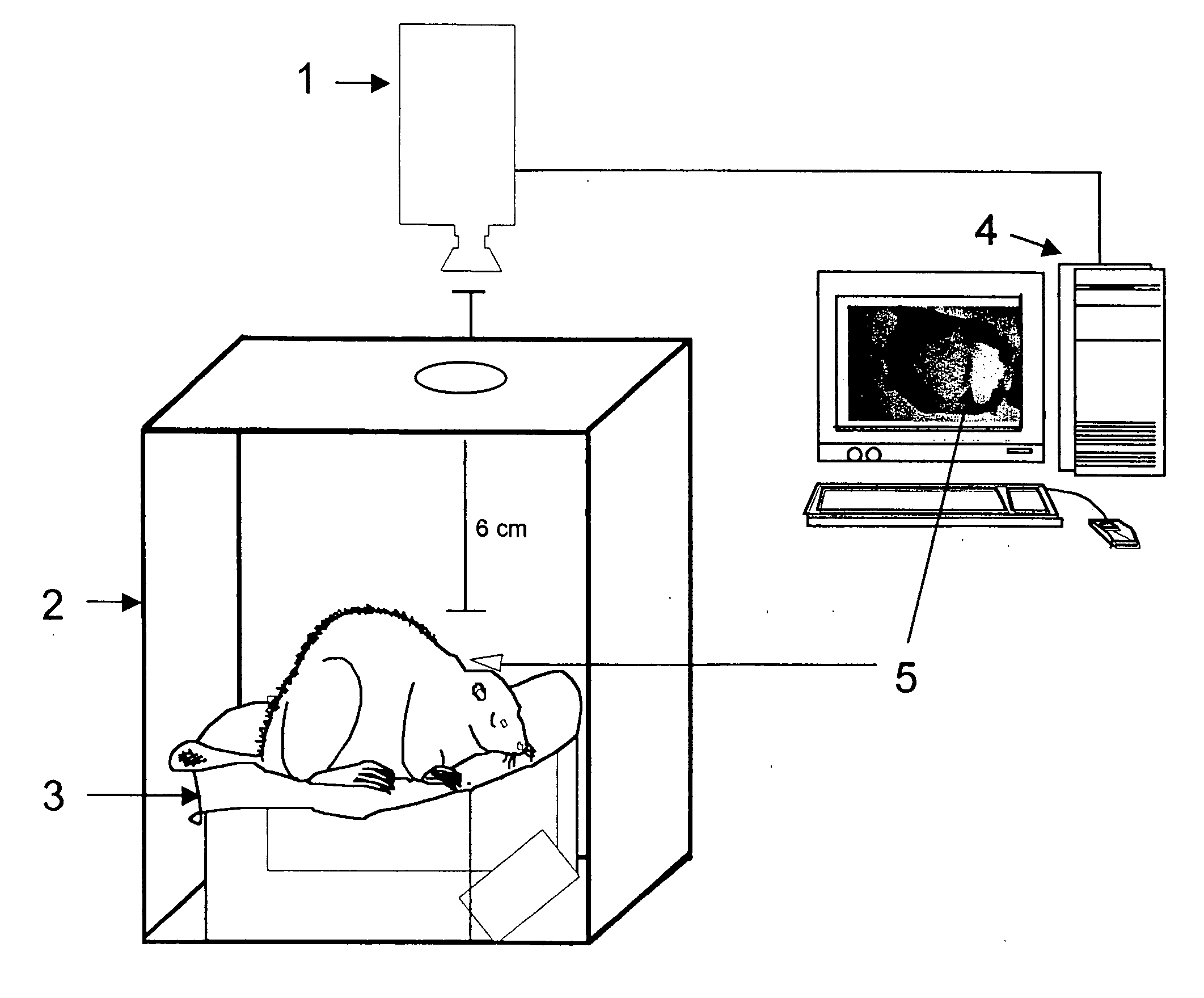 Infrared thermography