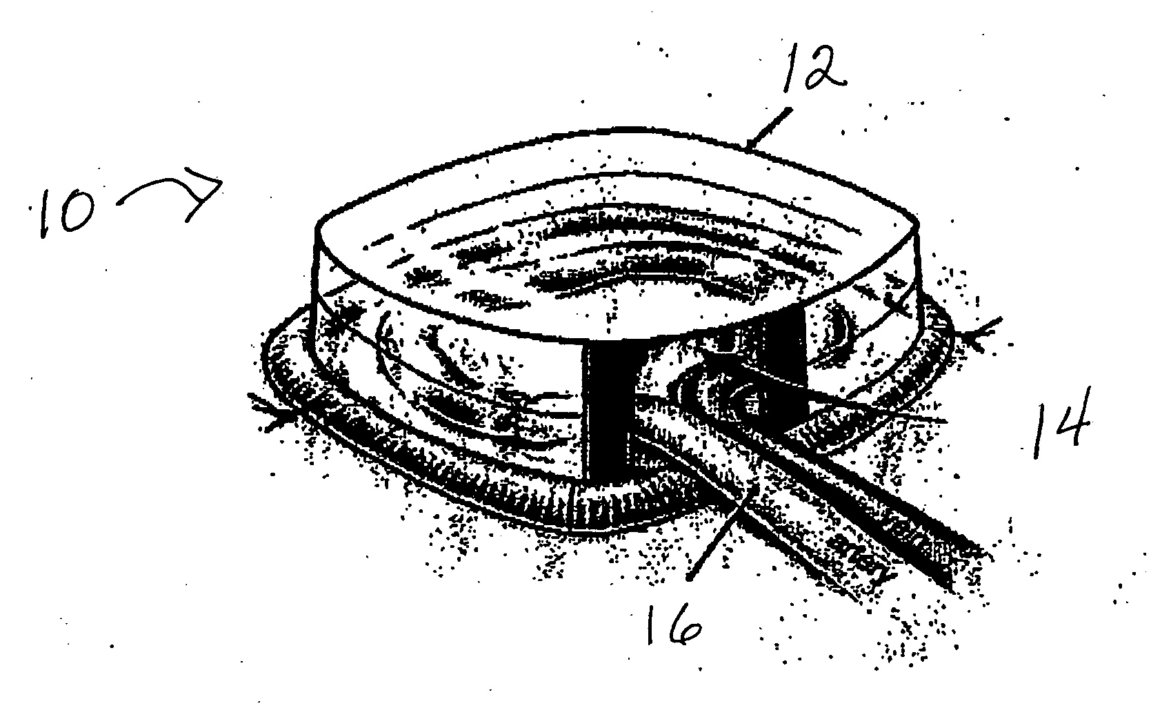 Vascularized tissue graft