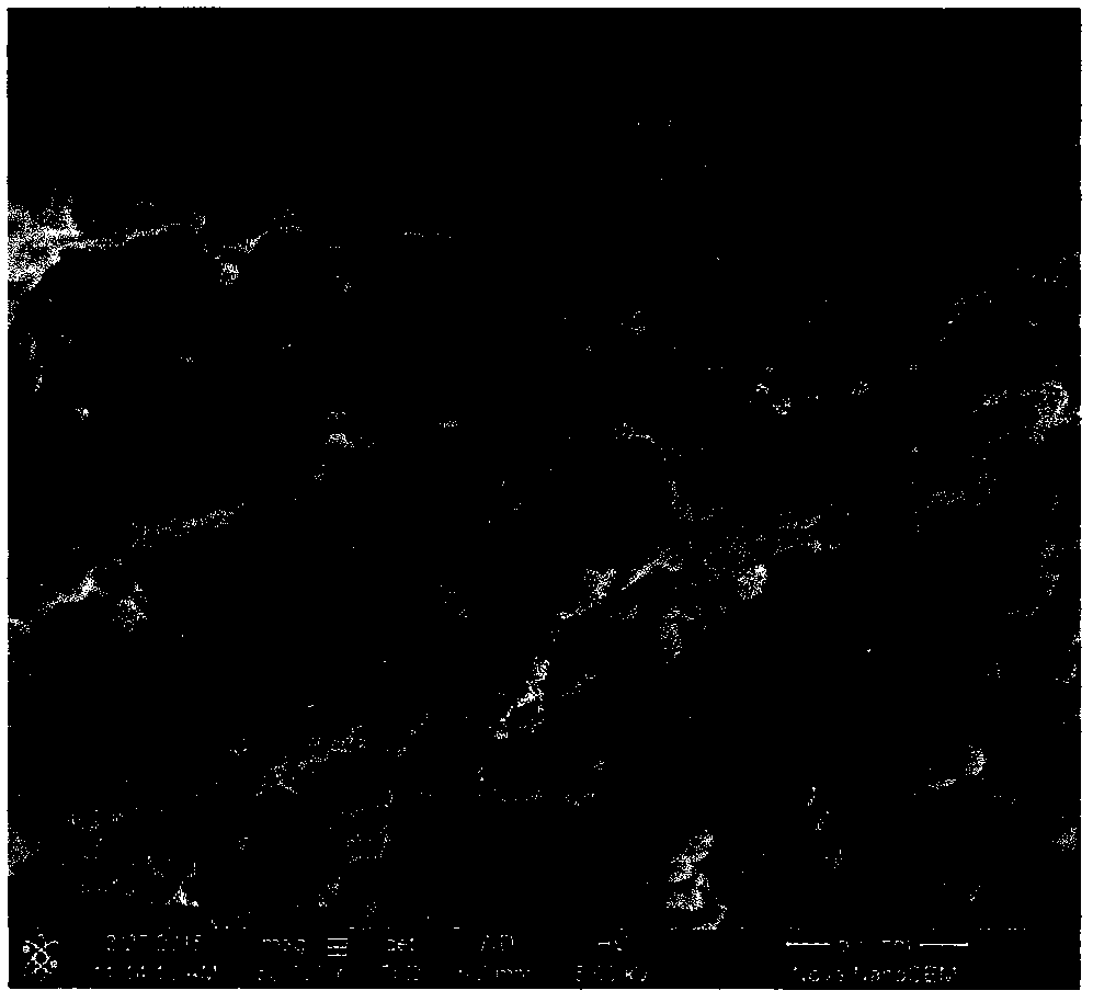 High-capacity graphene/ silicone composite negative electrode material and preparation method