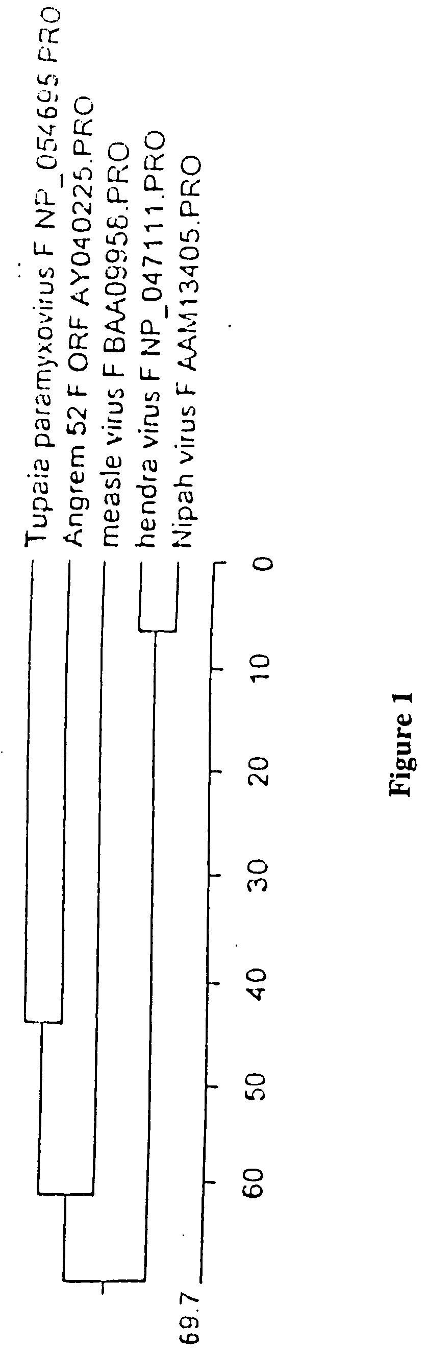 Chris-like virus, compositions, vaccines and uses thereof