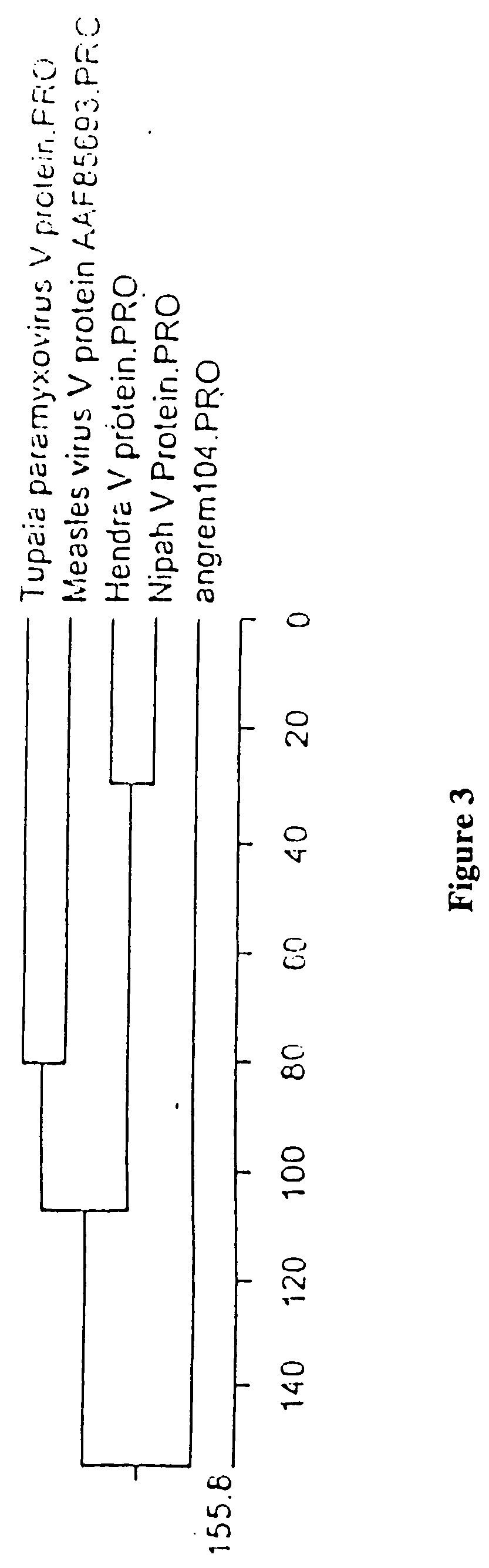 Chris-like virus, compositions, vaccines and uses thereof