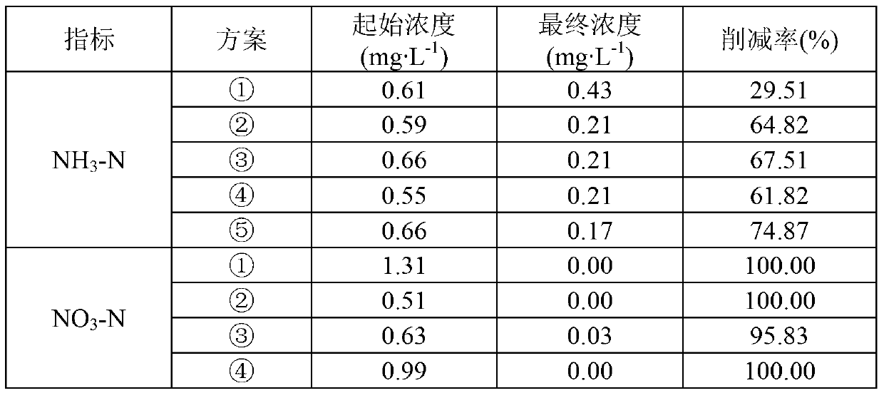 Method for restoring eutrophic water by utilizing rumex japonicus