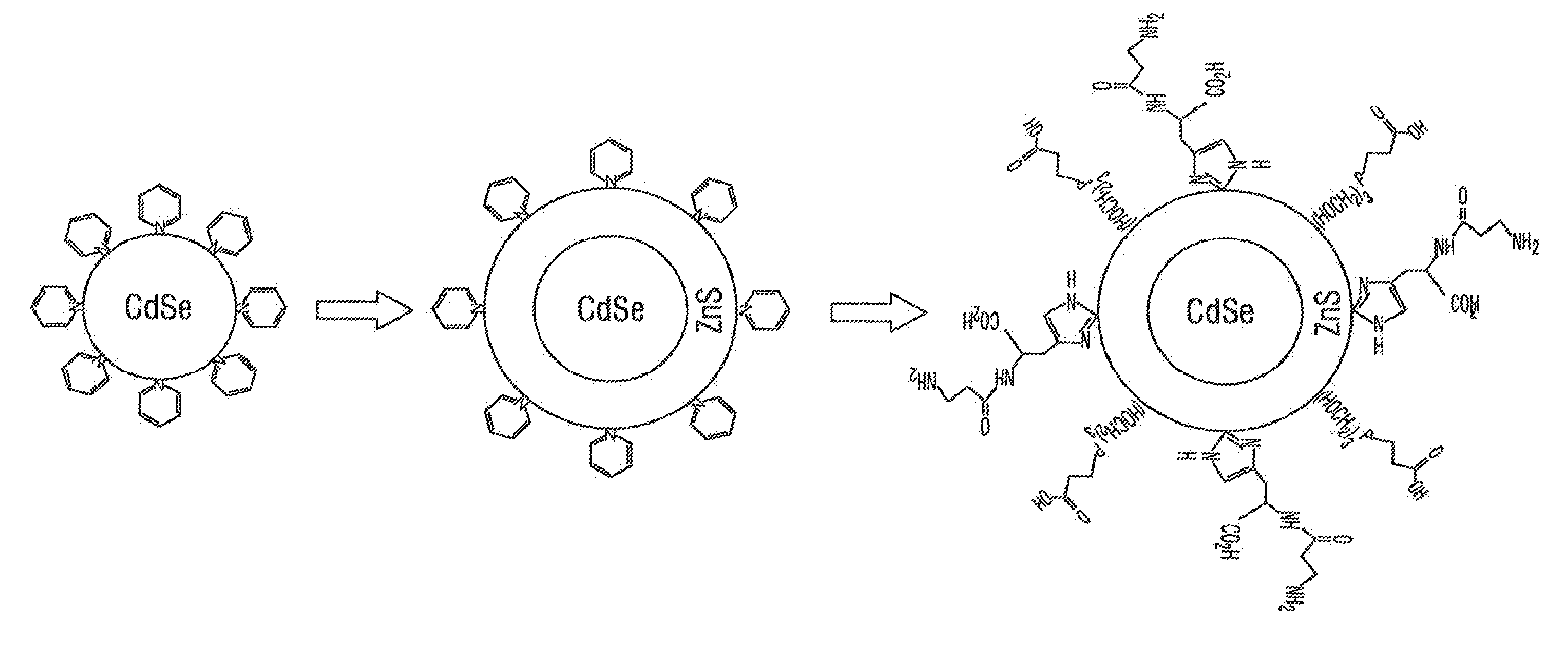 Functionalized fluorescent nanocrystals, and methods for their preparation and use