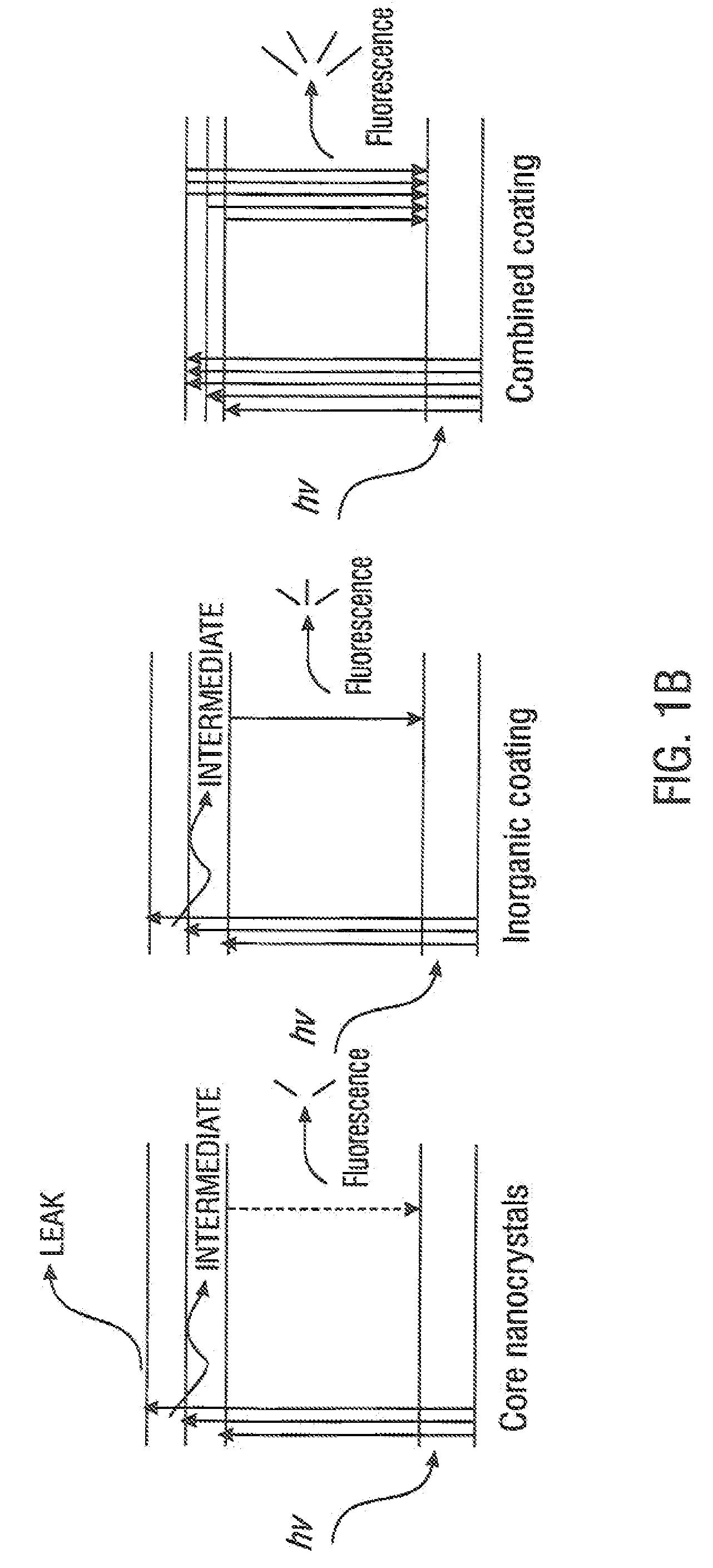 Functionalized fluorescent nanocrystals, and methods for their preparation and use