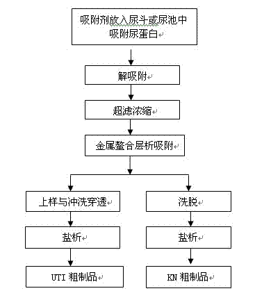 Method for preparing human urinary kallidinogenase crude product