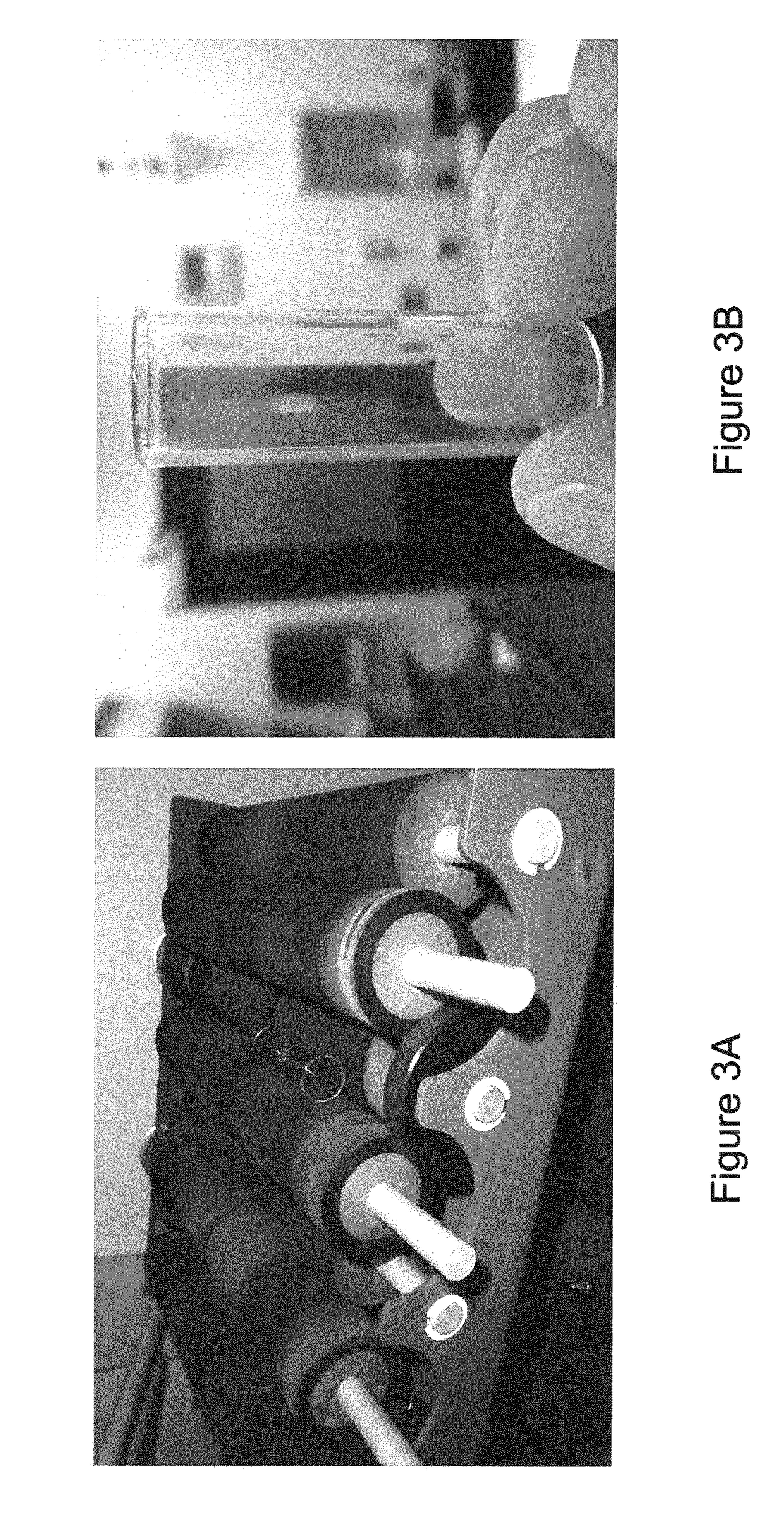 Compositions and methods for repelling and killing ticks and detachment of feeding ticks