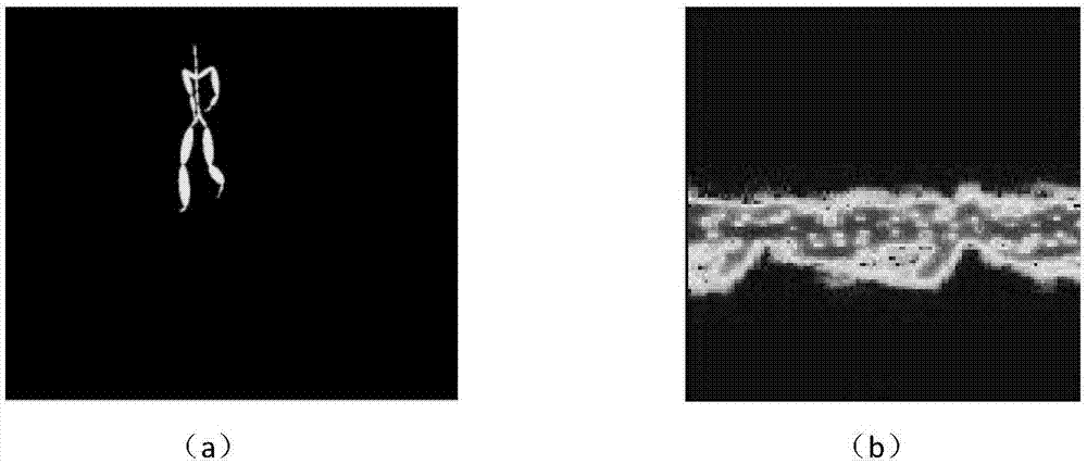 Radar-simulation-image-based human body motion classification method of a convolution neural network