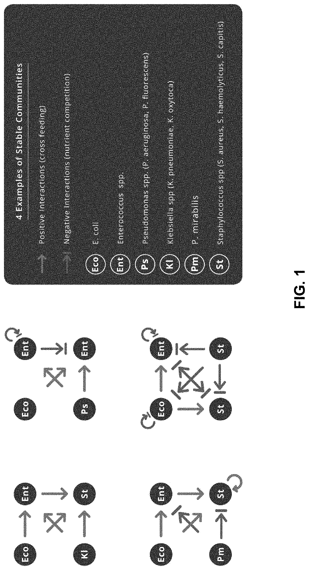 Methods and systems for preparing therapeutic solutions for polymicrobial infections