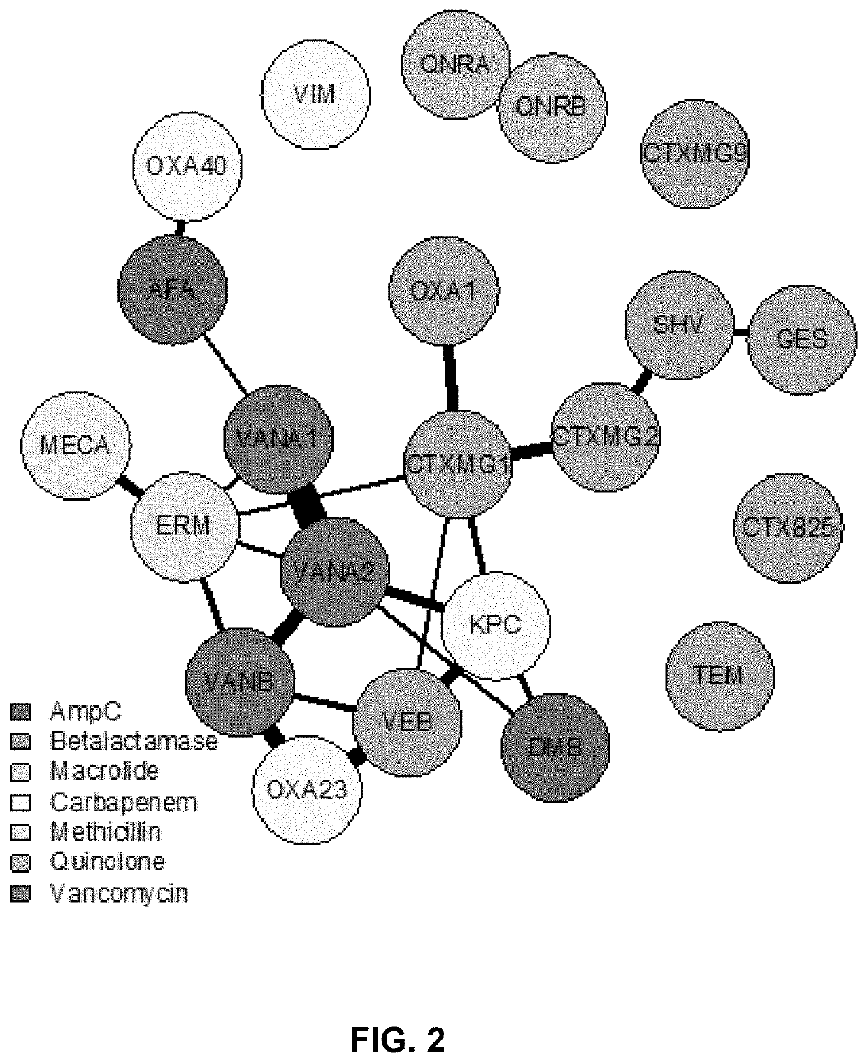 Methods and systems for preparing therapeutic solutions for polymicrobial infections