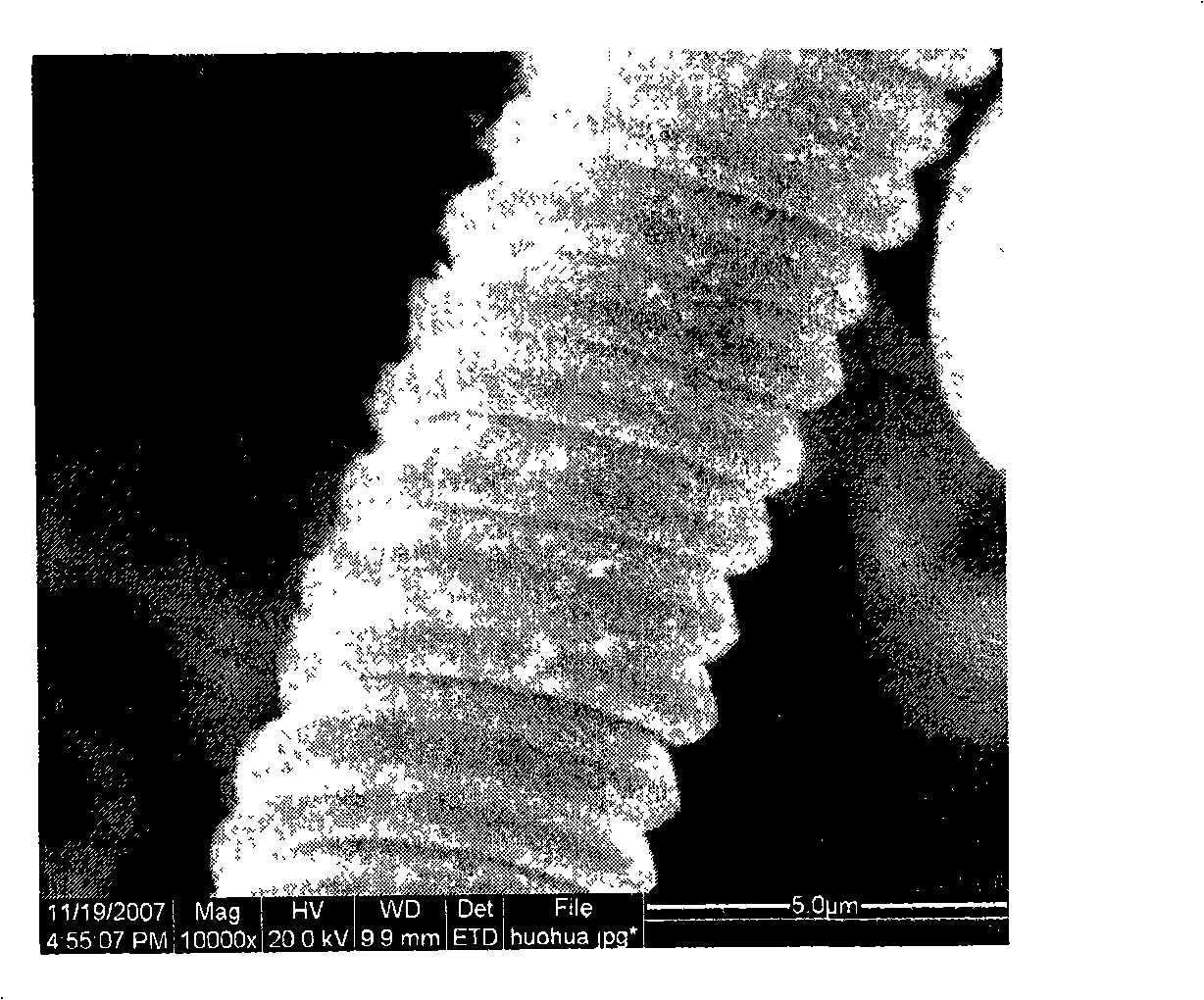 Process for preparing micro-coiled carbon fiber/Ni composite material by chemical nickel plating