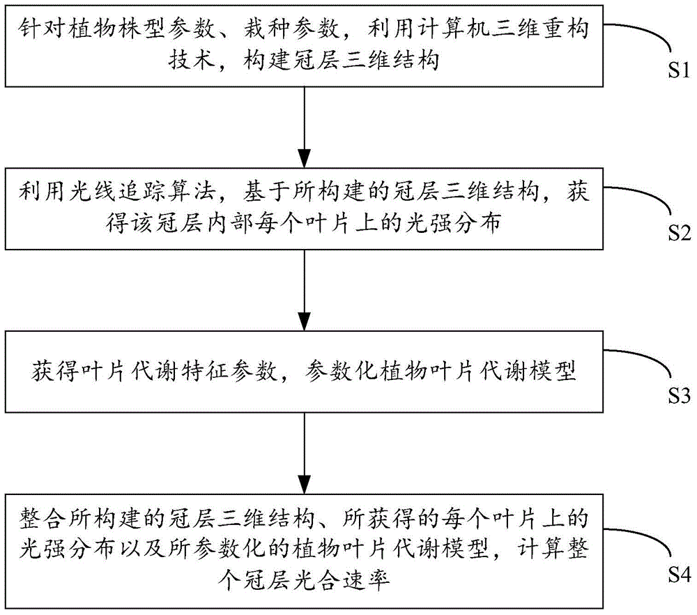 Method for calculating canopy photosynthetic rate