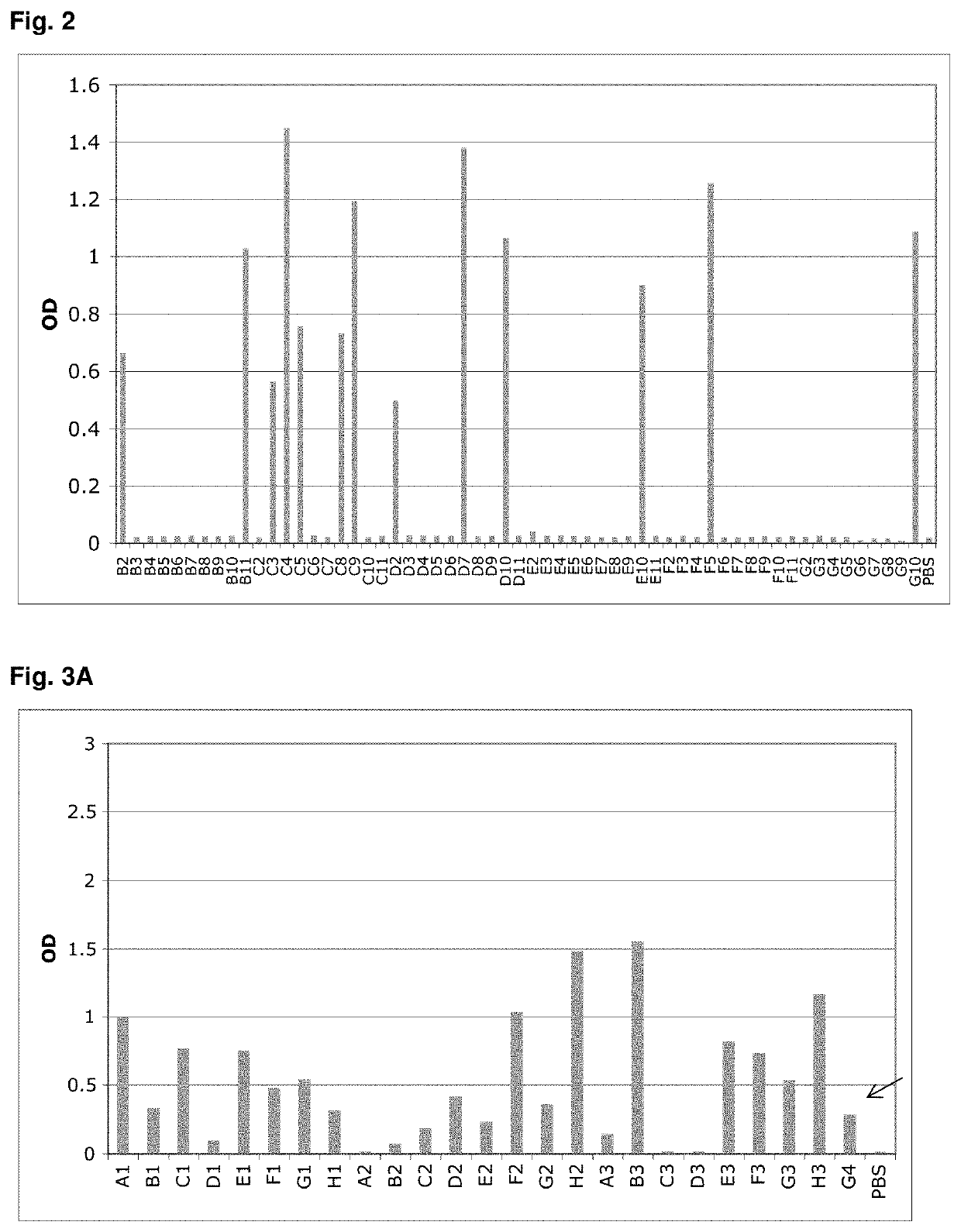 Specific and High Affinity Binding Proteins Comprising Modified SH3 Domains of FYN Kinase