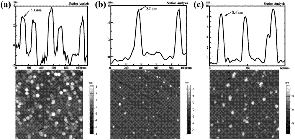 Method for constructing core-shell superstructure dendrimer with amino groups on surface through host and guest self-assembling effect