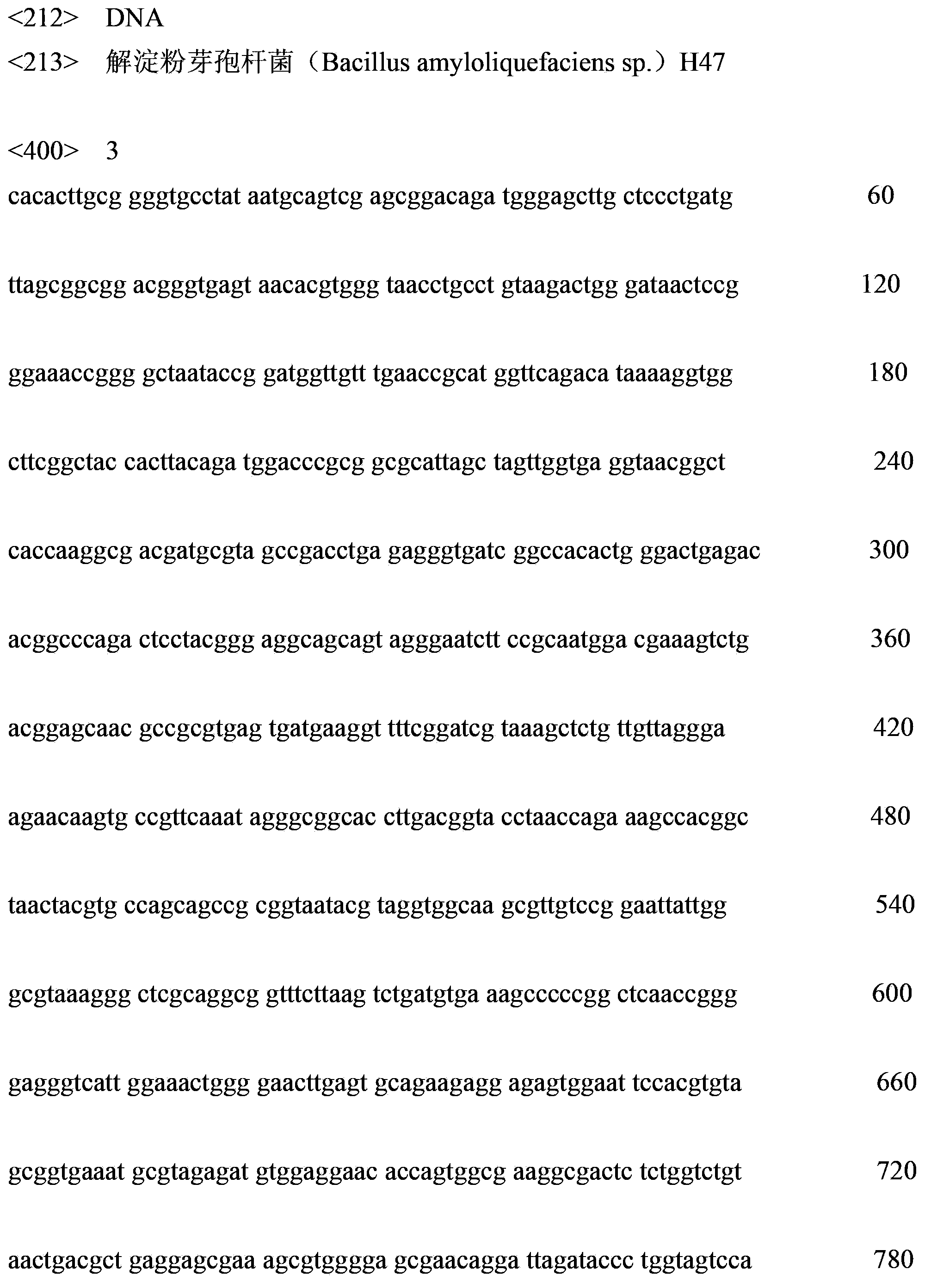 Bacillus amyloliquefaciens and application thereof in preventing and controlling peach bleeding disease