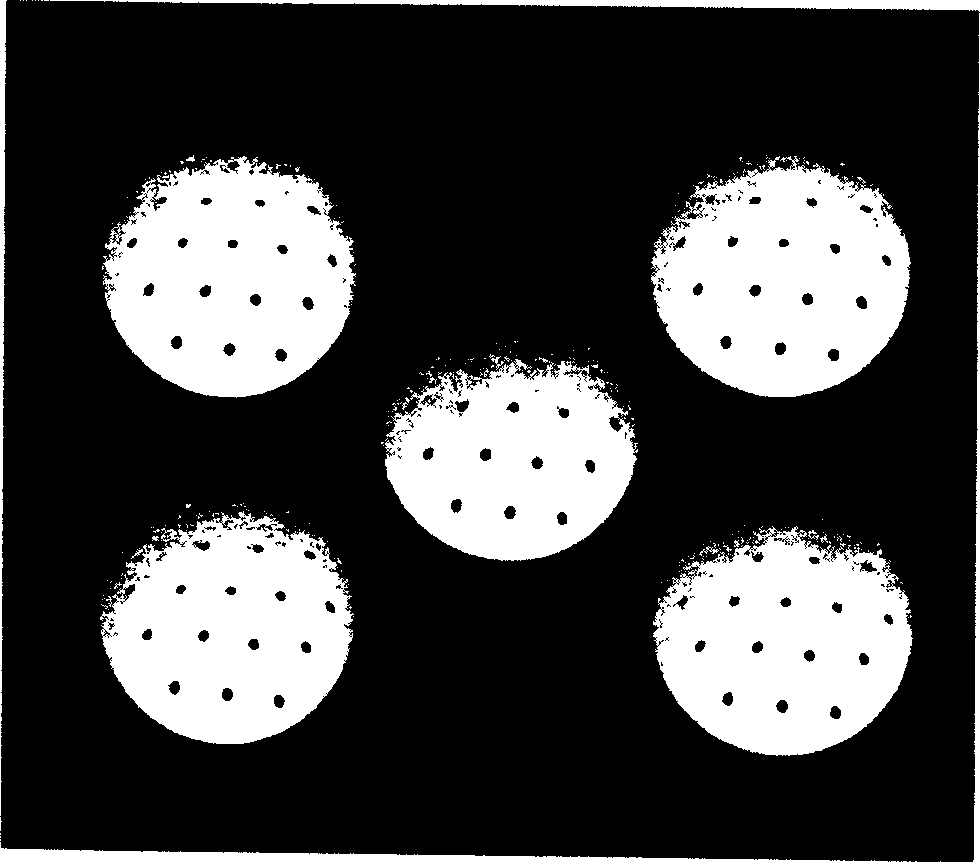 Method for preparing artificial head bones made from composite material and for modifying surface