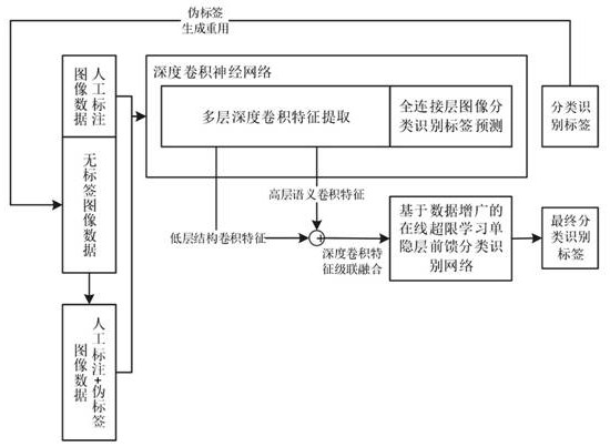 Data-augmented deep semi-supervised extreme learning image classification method and system