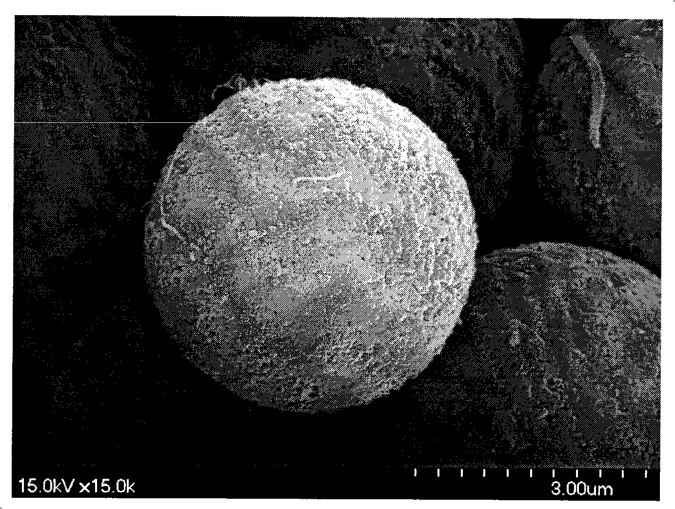 Method for preparation of composite chromatographic stuffing of polymer carbon nanometer tube