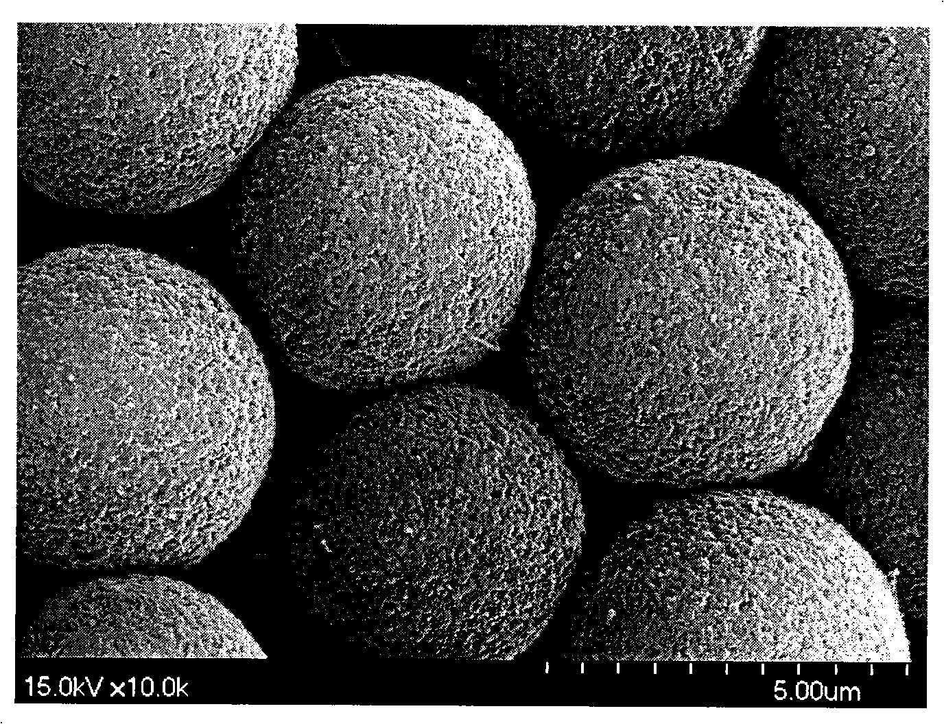 Method for preparation of composite chromatographic stuffing of polymer carbon nanometer tube