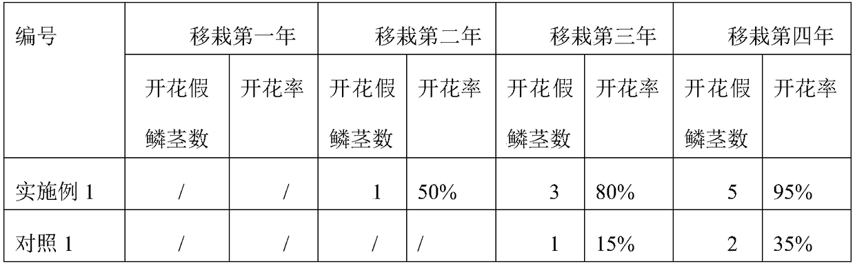 Flowering induction method for dendrobium nobile seedlings