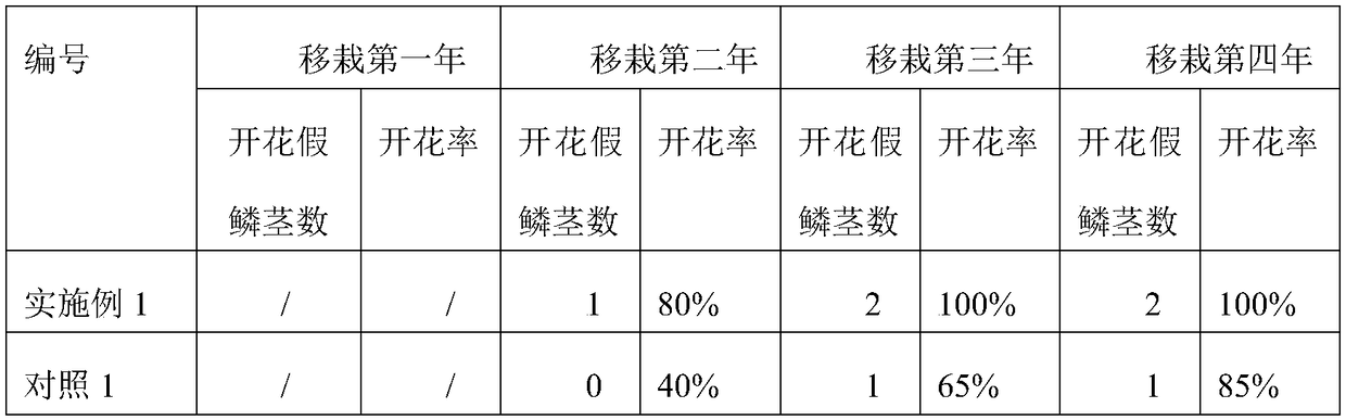 Flowering induction method for dendrobium nobile seedlings