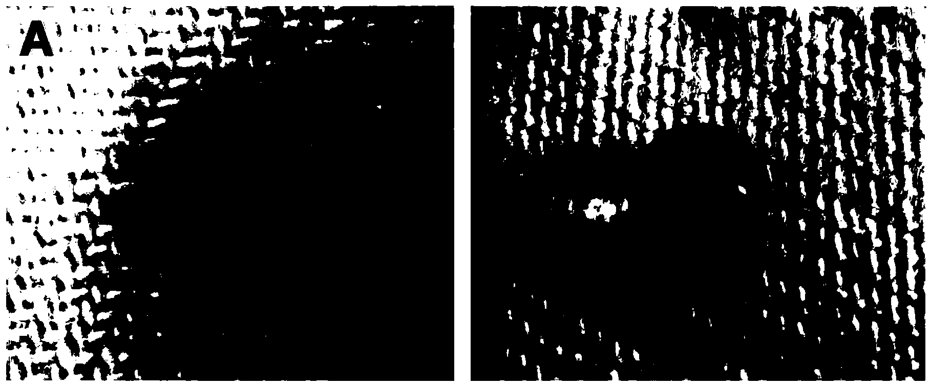 Super-hydrophobic cloth prepared by layered double hydroxide and preparation process thereof