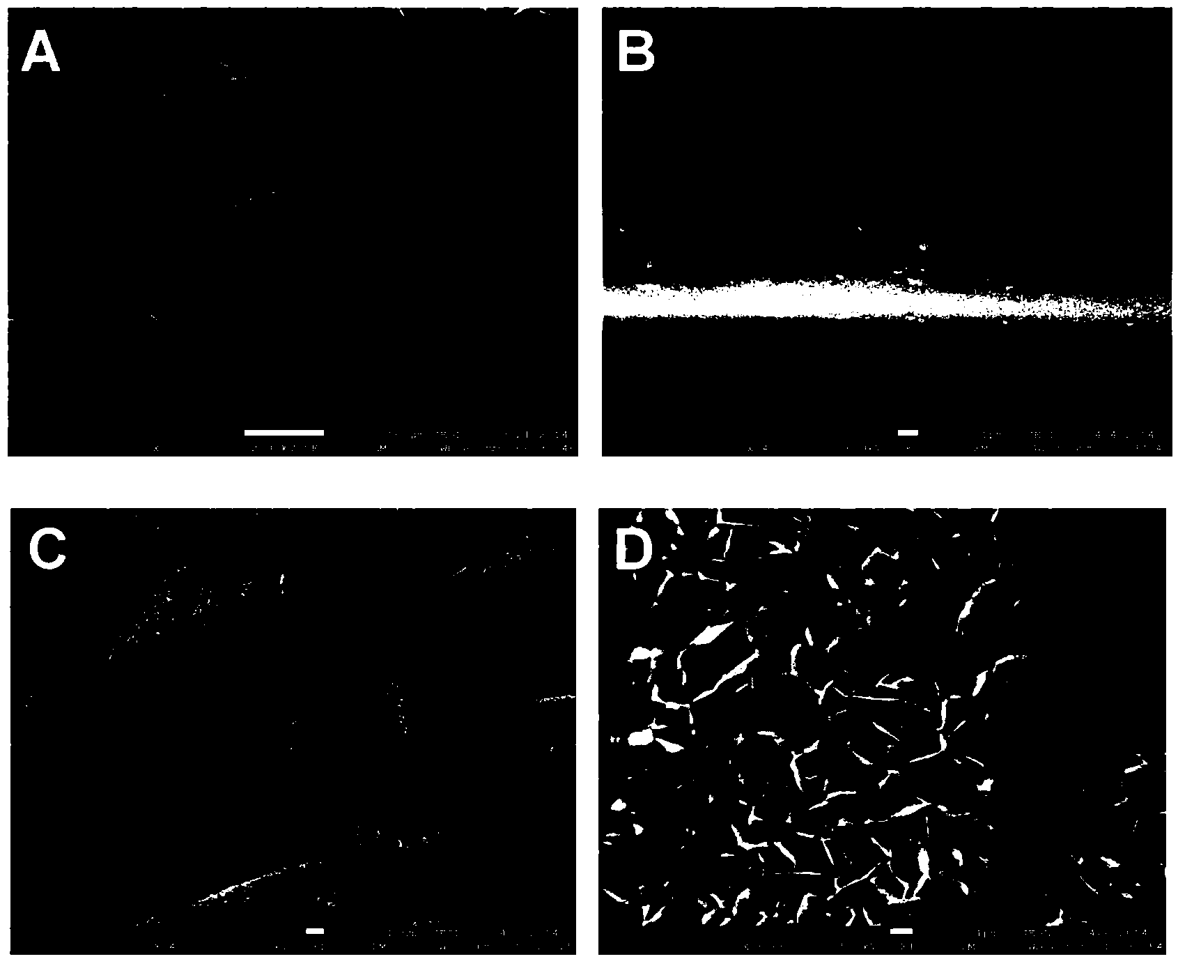 Super-hydrophobic cloth prepared by layered double hydroxide and preparation process thereof