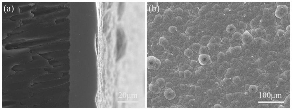 Silicon carbide/graphene bionic laminated coating and preparation method thereof