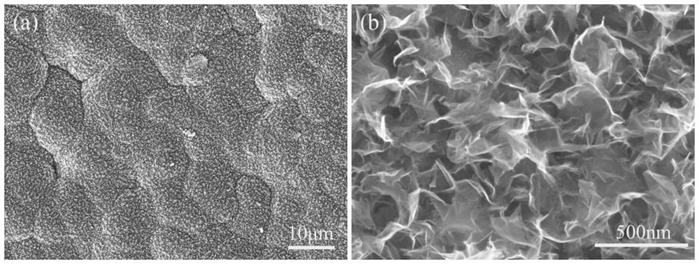 Silicon carbide/graphene bionic laminated coating and preparation method thereof