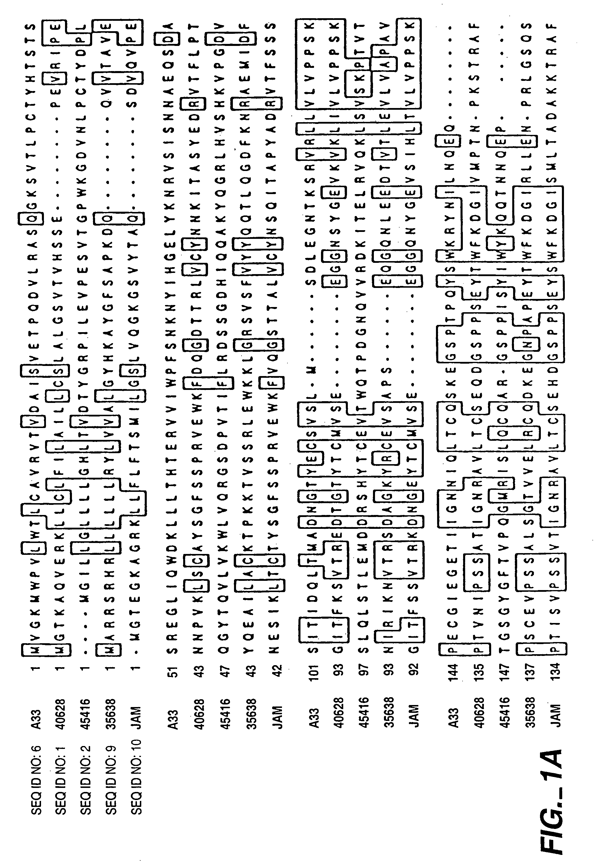 Compounds, compositions and methods for the treatment of diseases characterized by A-33 related antigens