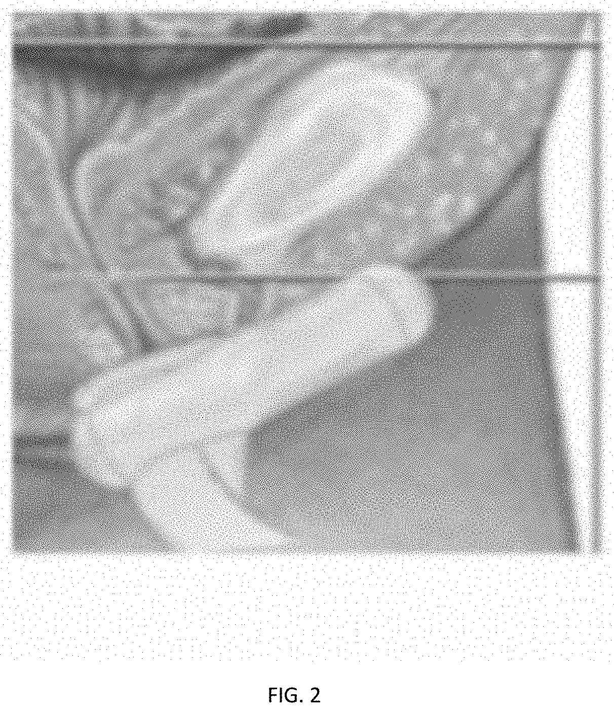 Portable Stand-to-Pee (STP) Urinary Device