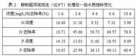 Method for purifying domestic wastewater by using willows through super deep flow and application thereof