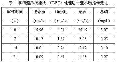 Method for purifying domestic wastewater by using willows through super deep flow and application thereof