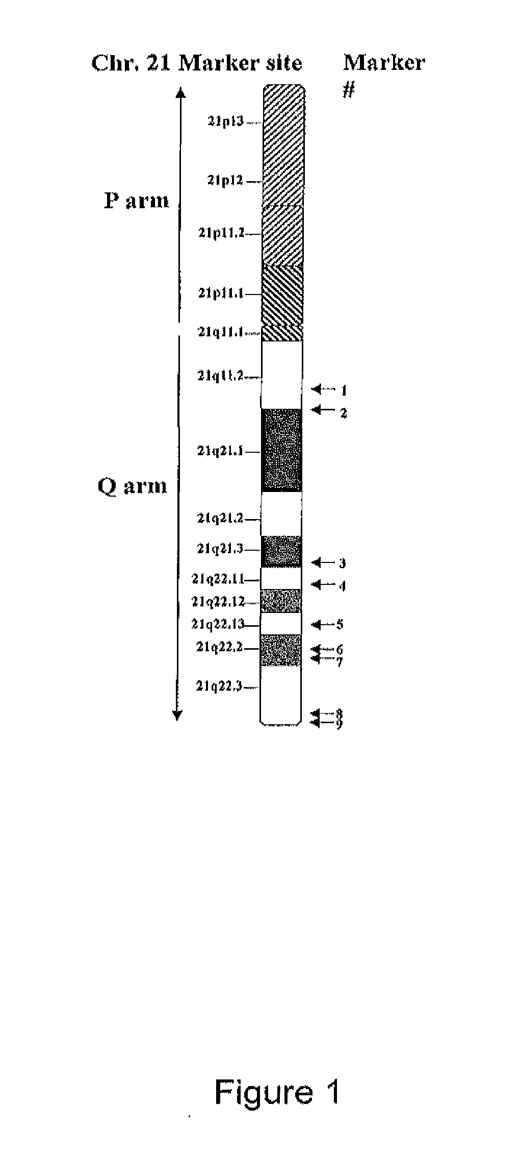 Method of Prenatal Molecular Diagnosis of Down Syndrome and Other Trisomic Disorders