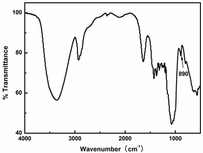 Water-soluble polysaccharide extracted from black fungus and preparation method thereof