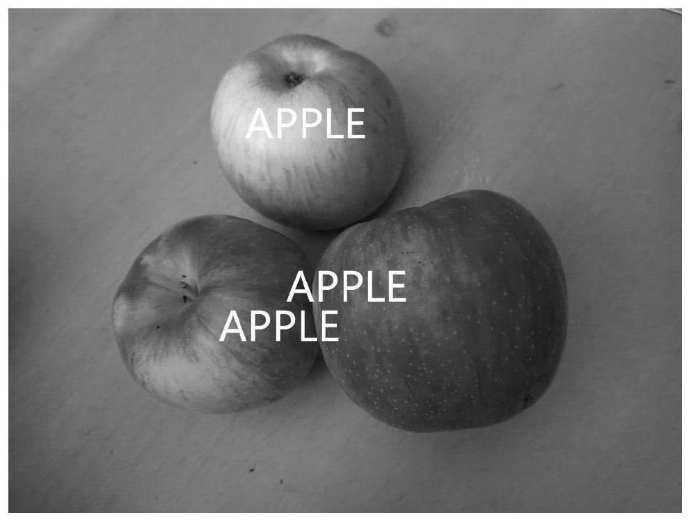 Apple grading identification method based on deep learning