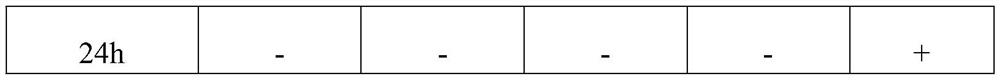 Foam type lavender antibacterial lotion and preparation method thereof