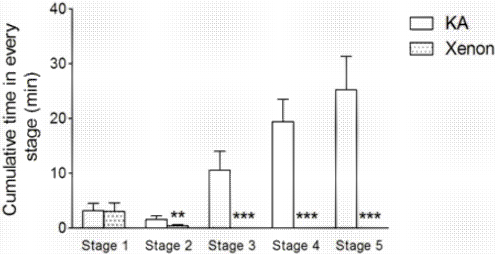 Applications of xenon or xenon gas mixture in preparing preparations for treating epilepsy