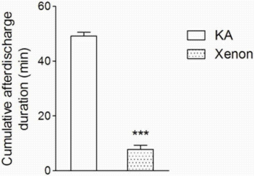 Applications of xenon or xenon gas mixture in preparing preparations for treating epilepsy