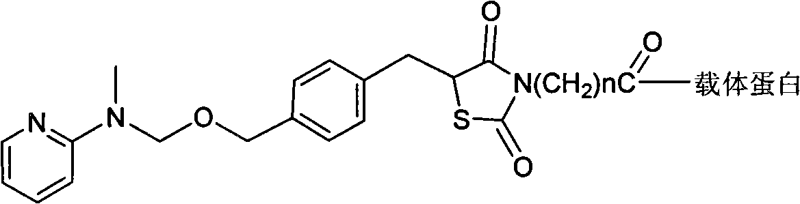 Rogridone hapten, artificial antigen and antibody as well as preparation method and application thereof