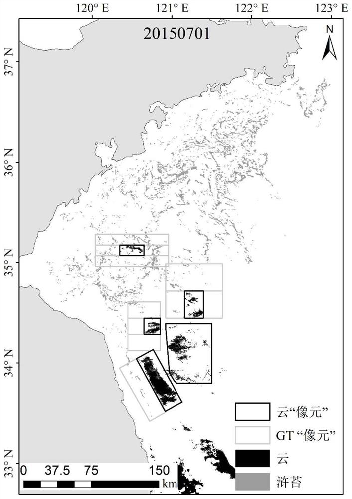 Method for estimating sea surface green tide coverage area under MODIS image cloud