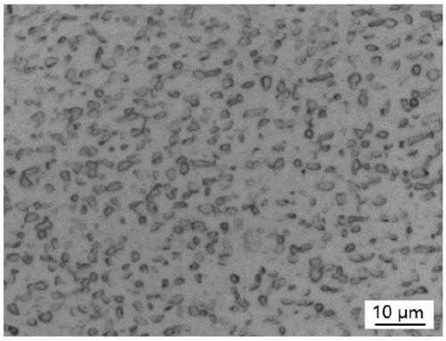 High-elasticity and high-strength titanium alloy and preparing method and application thereof