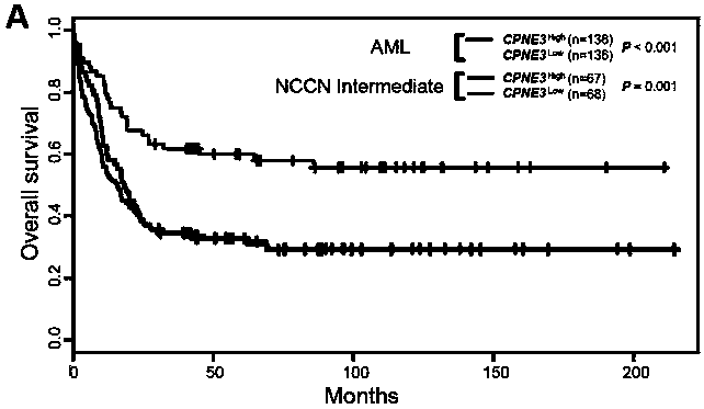 Adult AML risk stratification and clinical prognosis assessment kit and application of cpne3