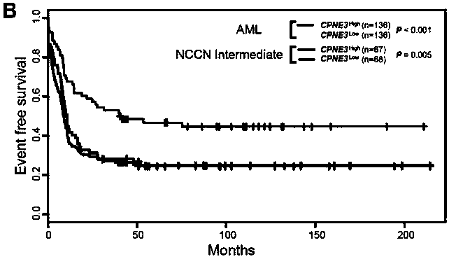 Adult AML risk stratification and clinical prognosis assessment kit and application of cpne3