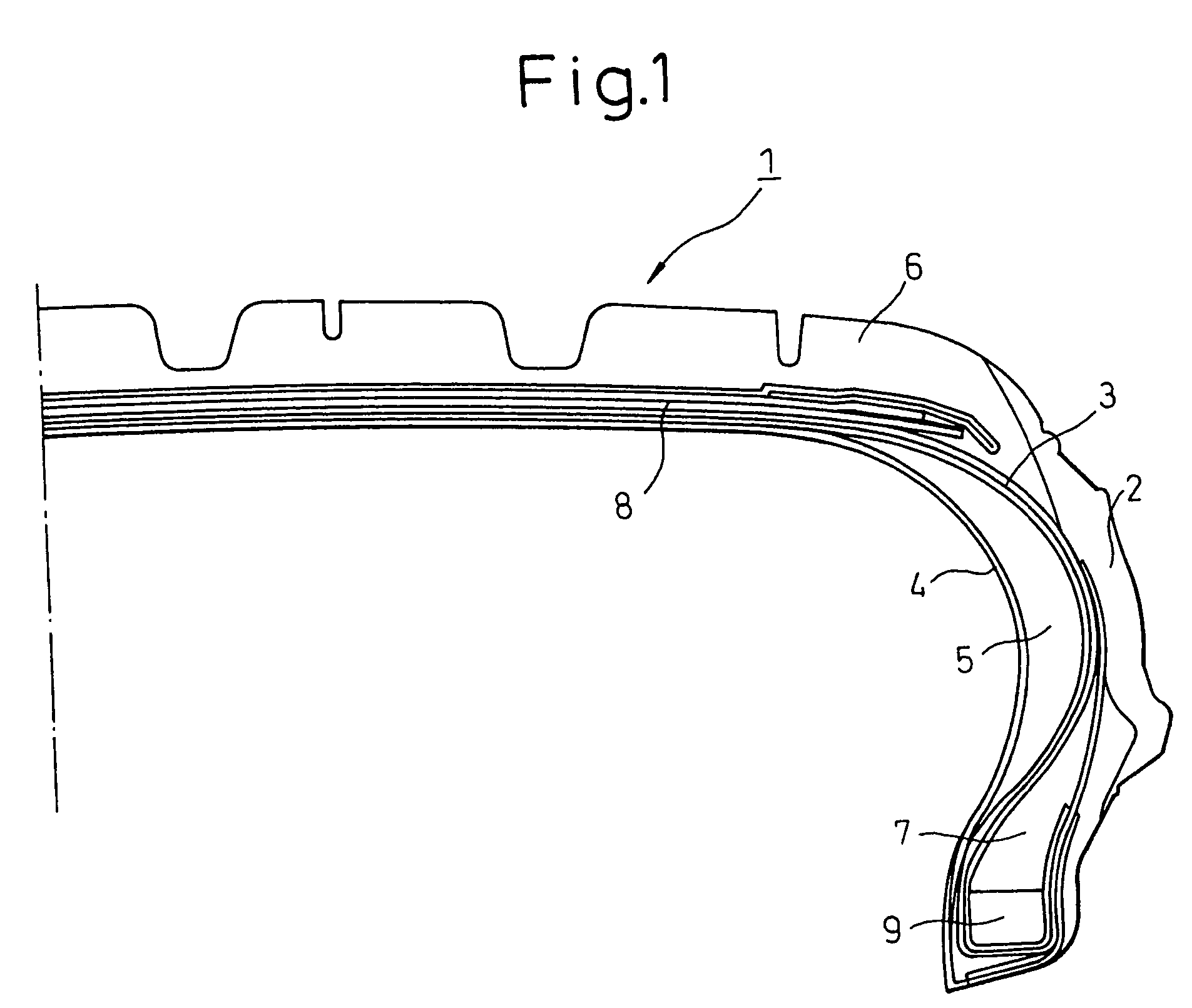 Pneumatic tire having run flat capability