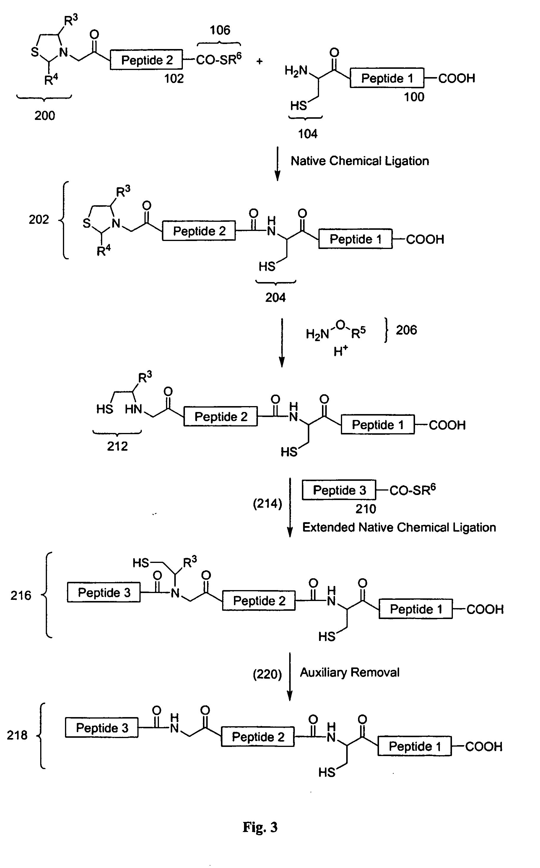 Post-cleavage sulfur deprotection for convergent protein synthesis by chemical ligation